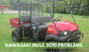 Kawasaki Mule 3010