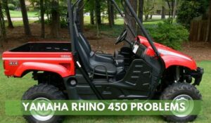 Yamaha Rhino 450